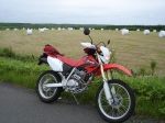 off-f001.jpg (19978 �o�C�g)