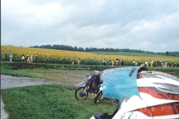 hok0442.JPG (29908 oCg)