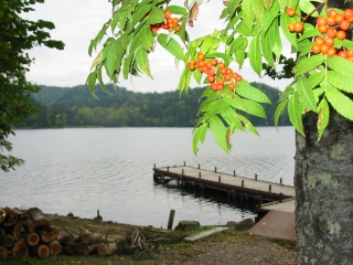 0409184d.jpg (75227 oCg)