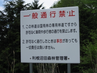 09052341.jpg (65908 oCg)