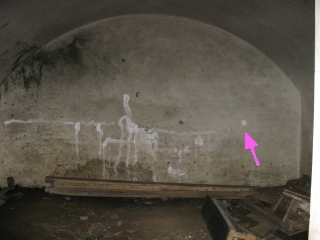 09111561.jpg (49339 oCg)