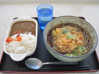 12041416.jpg (61558 oCg)