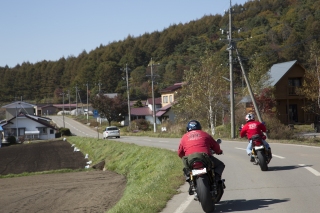 12102072.jpg (58644 oCg)