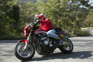12102075.jpg (64898 oCg)