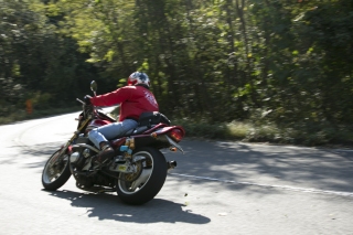 12102076.jpg (57486 oCg)