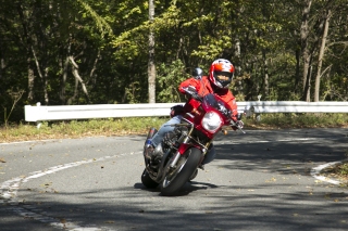 12102078.jpg (72721 oCg)