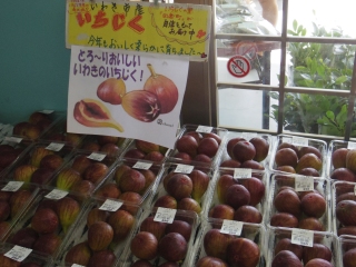 14092791.jpg (67931 oCg)