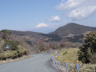 19032351.jpg (52192 oCg)