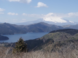 19032356.jpg (50311 oCg)